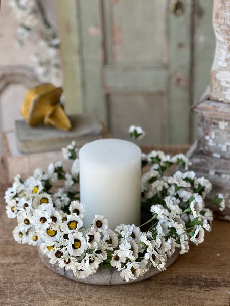 Fairchild Daisy candle ring