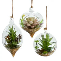 Boho glass plant succulent ornament