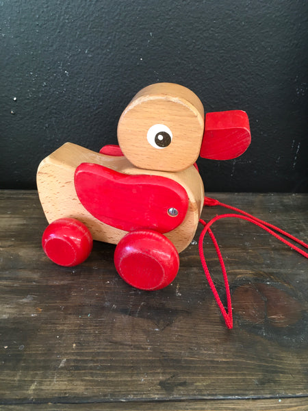 Kids wood pill duck