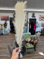 Cream 41” pampas grass stem