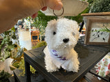 Lavender puppies w lavender bandanas & keychains