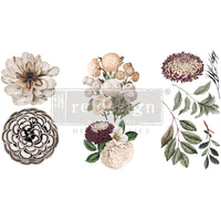 NATURAL FLORA MINI-TRANSFER -